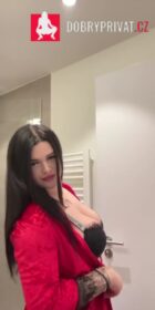 Náhled videa